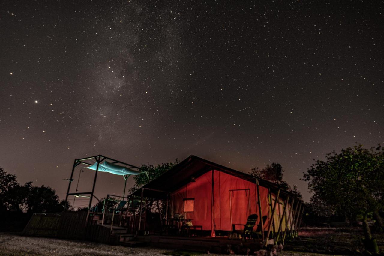 Ses Quinta Luxury Safari Tents Paderne Dış mekan fotoğraf