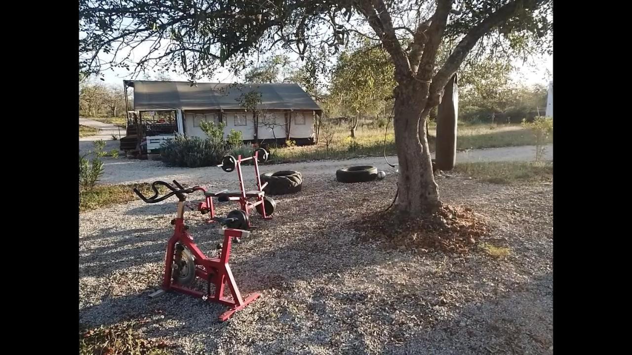 Ses Quinta Luxury Safari Tents Paderne Dış mekan fotoğraf